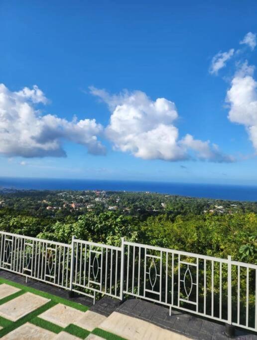 Villa La Rosa With Spectacular View Of Ocho Rios Eksteriør billede